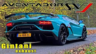 Lamborghini Aventador SVJ Gintani  334KMH 209MPH REVIEW on AUTOBAHN [upl. by Evelina]