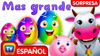 Aprende tamaños y animales de granja para niños  ChuChu TV Huevos Sorpresa [upl. by Prager]