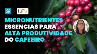 ADUBAÇÃO COM MICRONUTRIENTES NO CAFÉ [upl. by Ohcamac820]