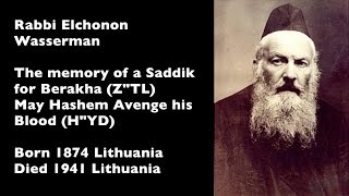 Rabbi Elchonon Wasserman ZTL HYD and his approach to Kiruv [upl. by Nennek]