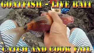 Fishing For Goatfish Moano Papio and Live Bait For Ulua GT A Catch and Cook Fail  BODS 30 [upl. by Scoles]