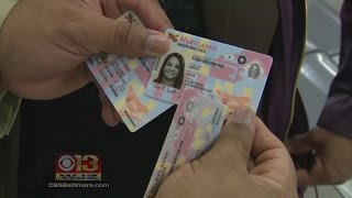 Md Motor Vehicle Administration Unveils New Drivers Licenses and IDs [upl. by Boardman]