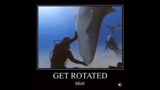 Man Vs Shark Rotated Idiot Meme [upl. by Newcomb]