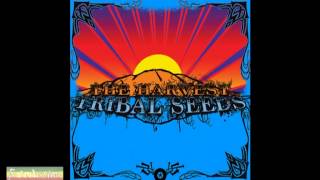 Tribal Seeds  The Garden [upl. by Banyaz800]