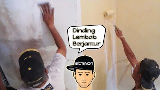 Cara Memperbaiki Dinding Lembab Basah Berjamur [upl. by Josephson44]