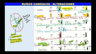 SEMIOLOGÍA CARDÍACA Parte 2 [upl. by Mlehliw140]