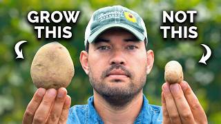 Watch This BEFORE You Plant Potatoes 🥔 [upl. by Calvert]