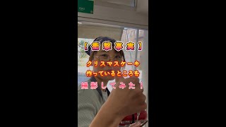 【後編】美しいデコレーションが魅力！マカロンケーキの作り方を動画でご紹介！ [upl. by Elianora593]