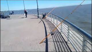 PESCANDO EN LA COSTANERA NORTE [upl. by Ban]