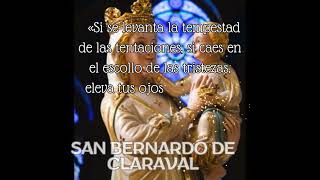 CAMINEMOS CON MARIA  SAN BERNARDO DE CLARAVAL MARIA [upl. by Roselle]