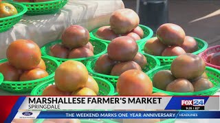 Marshallese community comes together for farmers market [upl. by Eked]