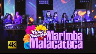 Grupo Femenino De Marimba Malacateca  Baile Chapin 4K [upl. by Anayhd321]