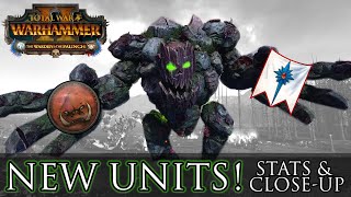 NEW UNITS for Greenskins amp High Elves  CloseUp amp Stats Warhammer 2 Warden amp The Paunch DLC [upl. by Johiah]