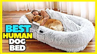 Top 5 Best Human Dog Bed 2023 Best Beds For Large Dogs [upl. by Dwyer]