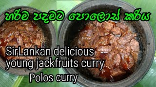 ✓හරිම පදමට පොලොස් කරියSrilankan delicious young jackfruits curry polos curry ndees foods [upl. by Sifan]