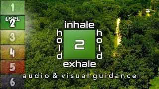 Guided Box Breathing With Audio And Visual Cues  Level 2  Square Breathing [upl. by Oby]