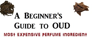 OUD  Do you know your OudAgarwood perfume  A detailed guide for all [upl. by Nils]