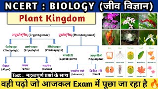 Plant Kingdom  पादप जगत का वर्गीकरण  Padap jagat  Botany  Study vines official [upl. by Dempsey448]