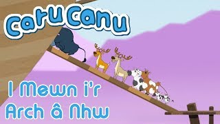 Caru Canu  I Mewn ir Arch Welsh Childrens Song [upl. by Atidnan271]