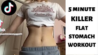 MY VIRAL 5 MINUTE FLAT STOMACH TIKTOK WORKOUT [upl. by Nela]