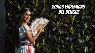 Dengue Las Zonas de Riesgo en México que NO CONOCES [upl. by Ytok]