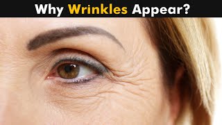 How Wrinkles Are Formed On Our Skin [upl. by Rebmik]