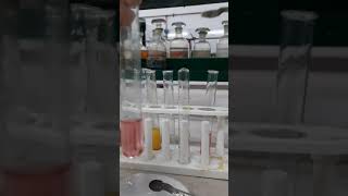 Potassium nitrite test for Cobalt ion and Potassium ion [upl. by Irbua]