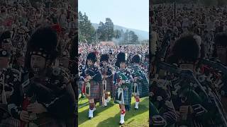 drummajors lead massed pipesanddrums marchingbands during 2024 braemargathering Scotland shorts [upl. by Zetes249]