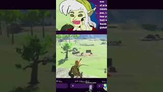 there diffrent  skellyttv on Twitch zelda link tloz botw totk breathofthewild Vtuber [upl. by Alleacim]