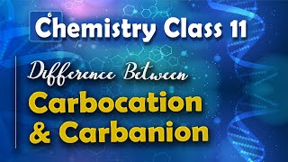 Difference Between Carbocation and Carbanion  Basic Principle and Techniques in Organic Chemistry [upl. by Mitchiner885]