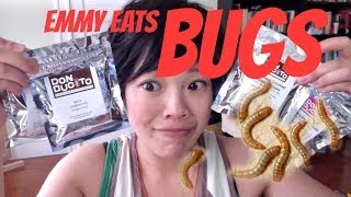 Emmy Eats Bugs  mealworms amp crickets [upl. by Hacceber]