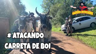 ATACANDO CARRETA DE BOI [upl. by Kyl582]