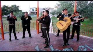 Mariachi Sol De Oro De Torreon Coah  Cuatro Meses [upl. by Berton]