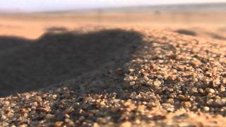 Saltation and Creep at Oceano Dunes [upl. by Rehttam]