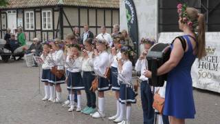 Lergöksorkestern och Engelholm marching band lockade stor publik i Ängelholm [upl. by Seuqirdor777]