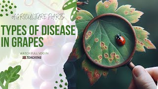 DISEASES OF GRAPEVINE [upl. by Kalagher]