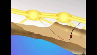 Neurons Synapse and Information Transfer [upl. by Eelinnej768]