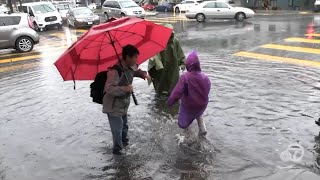 Flash flood warning as rain dumps in San Francisco [upl. by Holtorf]