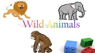 Wild animals for children wild animal flash cards for preschool kids [upl. by Ignace730]