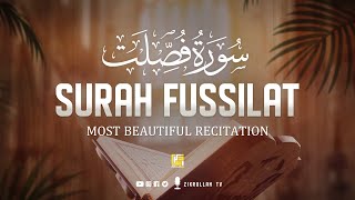 Surah Fussilat Ha Mim AsSajdah  Heart touching Quran سورة فصلت  Zikrullah TV [upl. by Jerz]