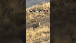 I found the tirty point buck👹 funny comedy hunting jesus hunters deer big nature fyp [upl. by Yeldoow]