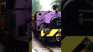 JN Derbyshire at Ribble Steam Railway Preston train [upl. by Antons]