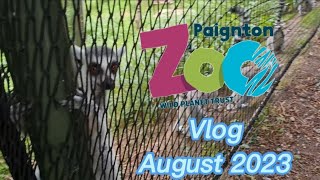 Paignton Zoo Vlog August 2023 [upl. by Aciretehs]