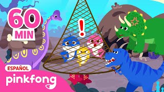 ¡ROAR¡ Dinosaurios para niños 🦖🦕  Recopilación  Pinkfong Canciones y Cuentos Infantiles [upl. by Leihcey]