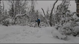 Saariselkä latutilanne 2024 Marraskuu Liukulumikengillä tunturin laidalla [upl. by Mikael]