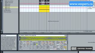 Ableton Tutorial How to make turntable FX sounds [upl. by Ykceb]