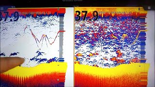 TRANSDUCER COMPARISON TM165 High Wide CHIRP VsB175 Medium CHIRP [upl. by Nahraf]