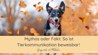 Tierkommunikation zu 100 beweisbar – So geht’s [upl. by Noraed]