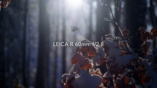 Leica R Macro 60mm f28 [upl. by Luhar]