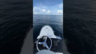 How to relieve stress sportfish yacht fishing offshore [upl. by Asile]